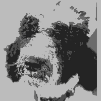 Hugo adult