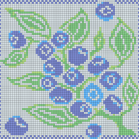 Blueberries