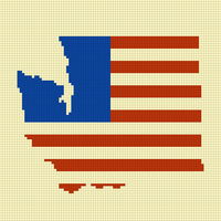 WA USA FLAG