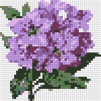 Rhododendron 1