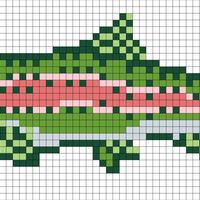 Copy of Copy of Rainbow trout