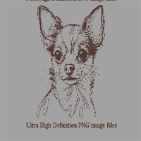Copy of Chihuahua S.webp