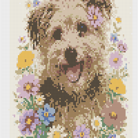 Copy of 1000114094.png
