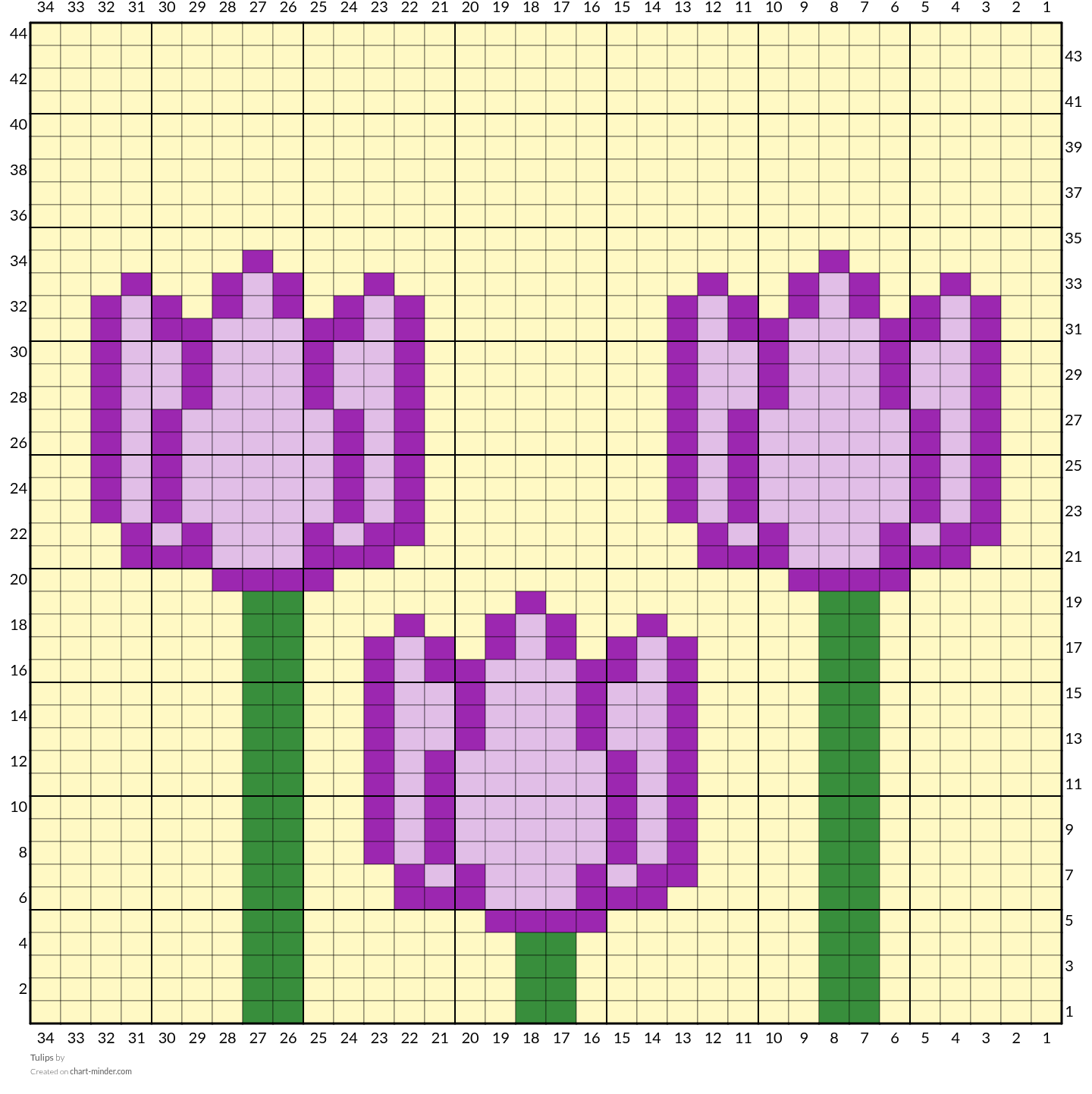 Tulips