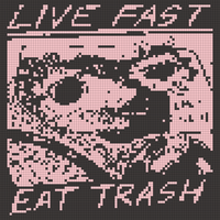 raccoons-goo.png