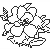 Gardenia