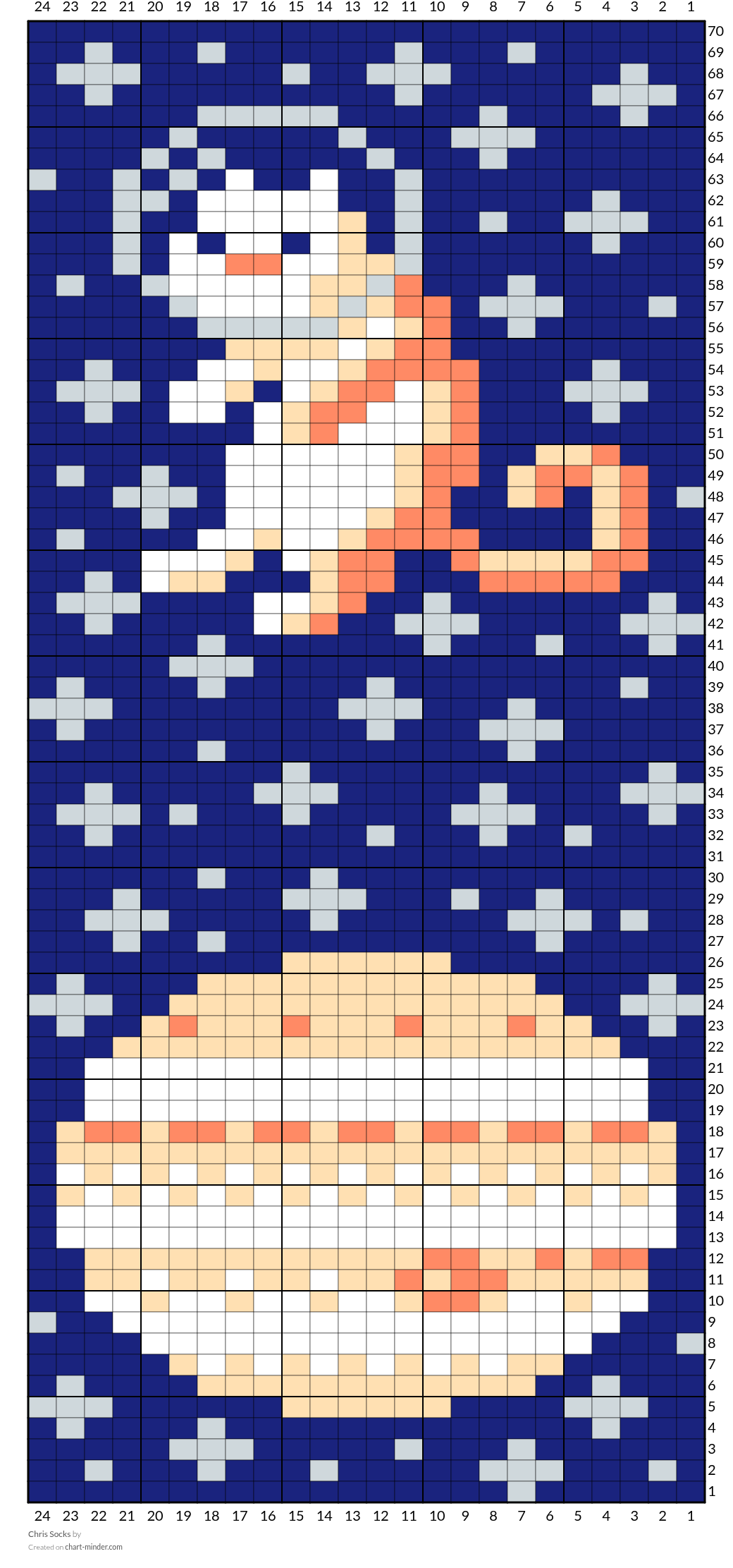 Jupiter Socks