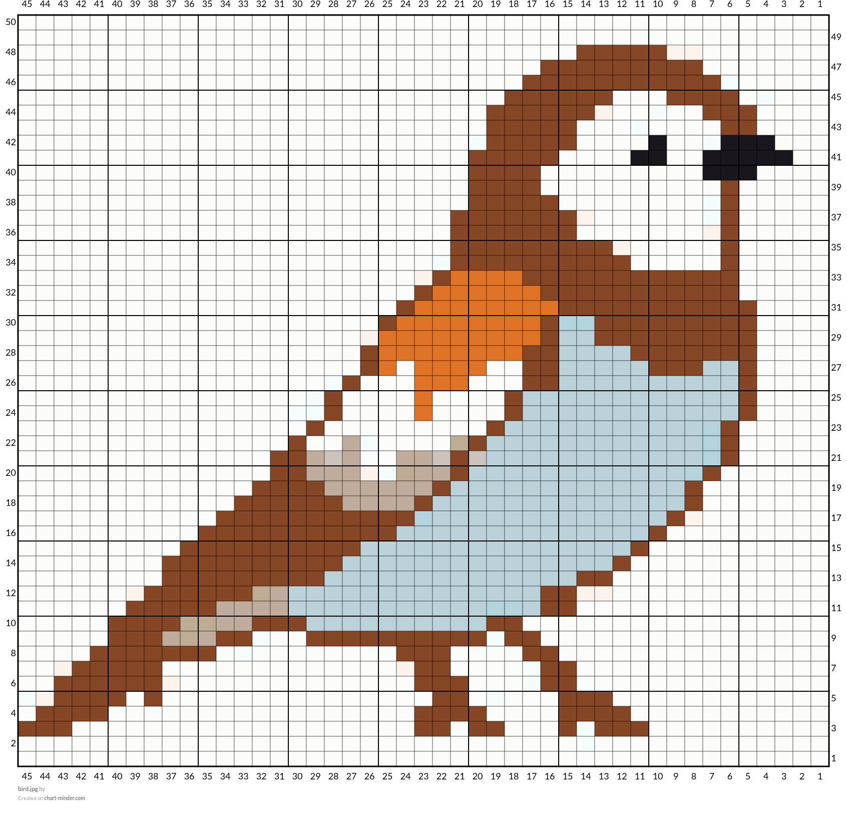 bird.jpg