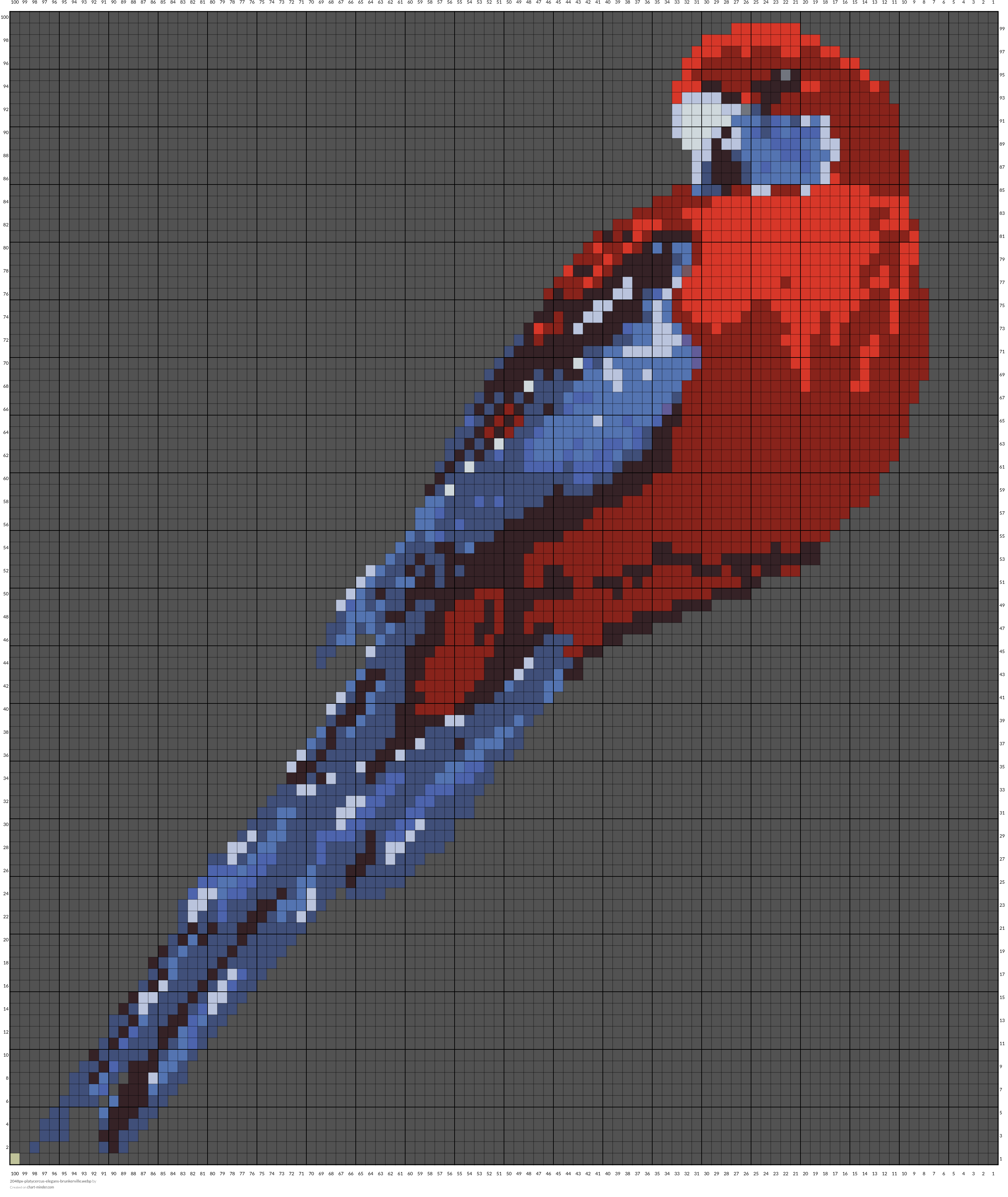 2048px-platycercus-elegans-brunkerville.webp
