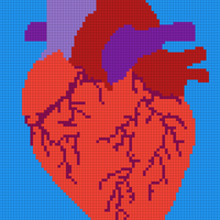 heart.jpg
