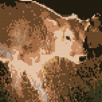 COW.jpg