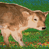 COW.jpg