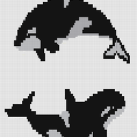Orca.png