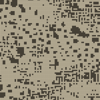 1000116242.jpg
