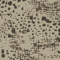 1000116242.jpg