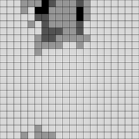 1000054879.jpg