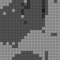 1000054875.jpg