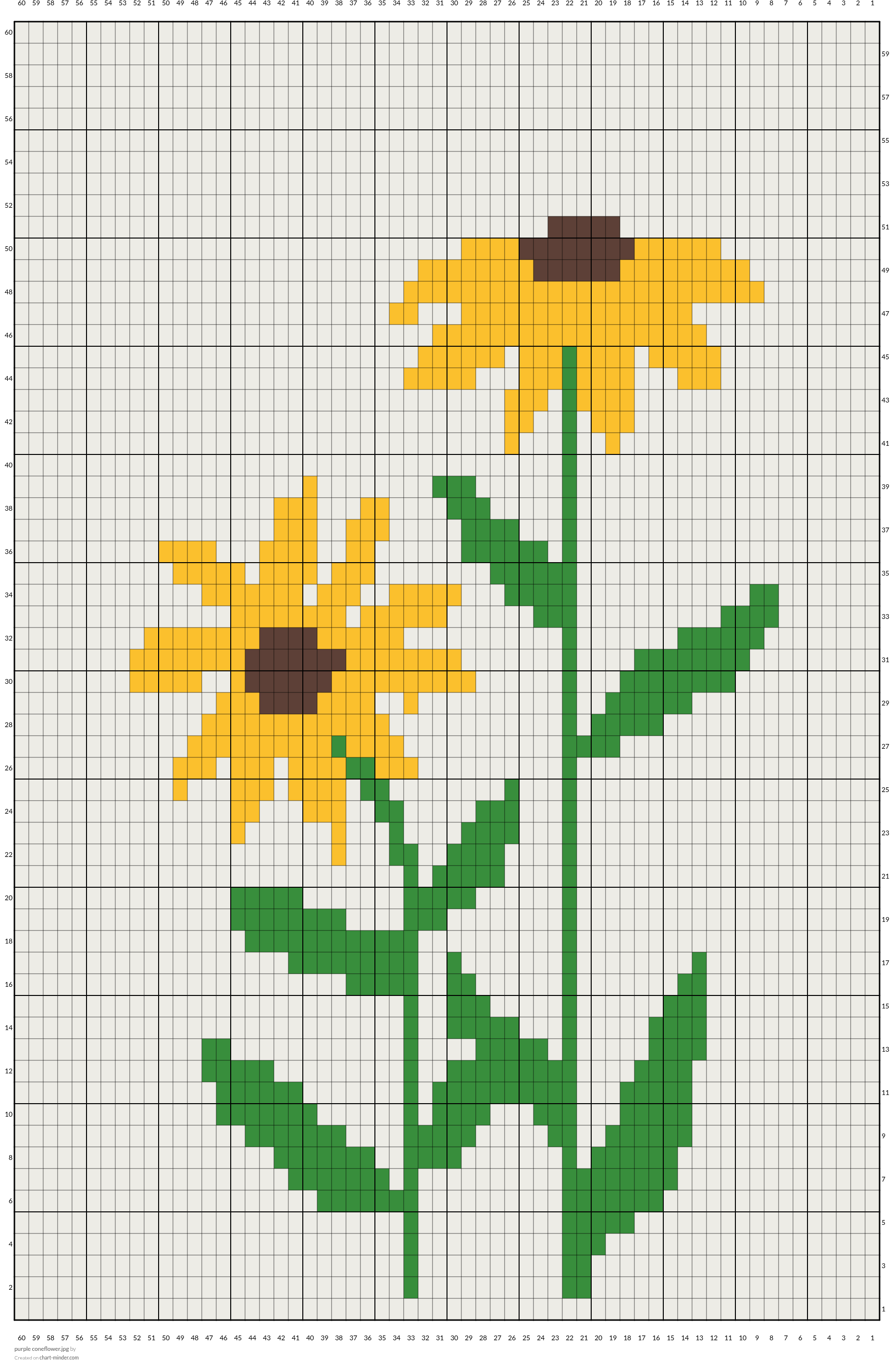 purple coneflower.jpg