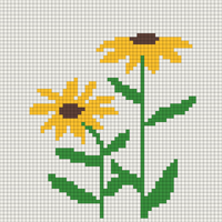 purple coneflower.jpg