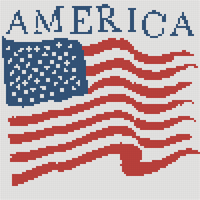 USA flag 100 x 100