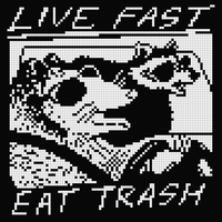 live-fast-eat-trash-raccoons.png