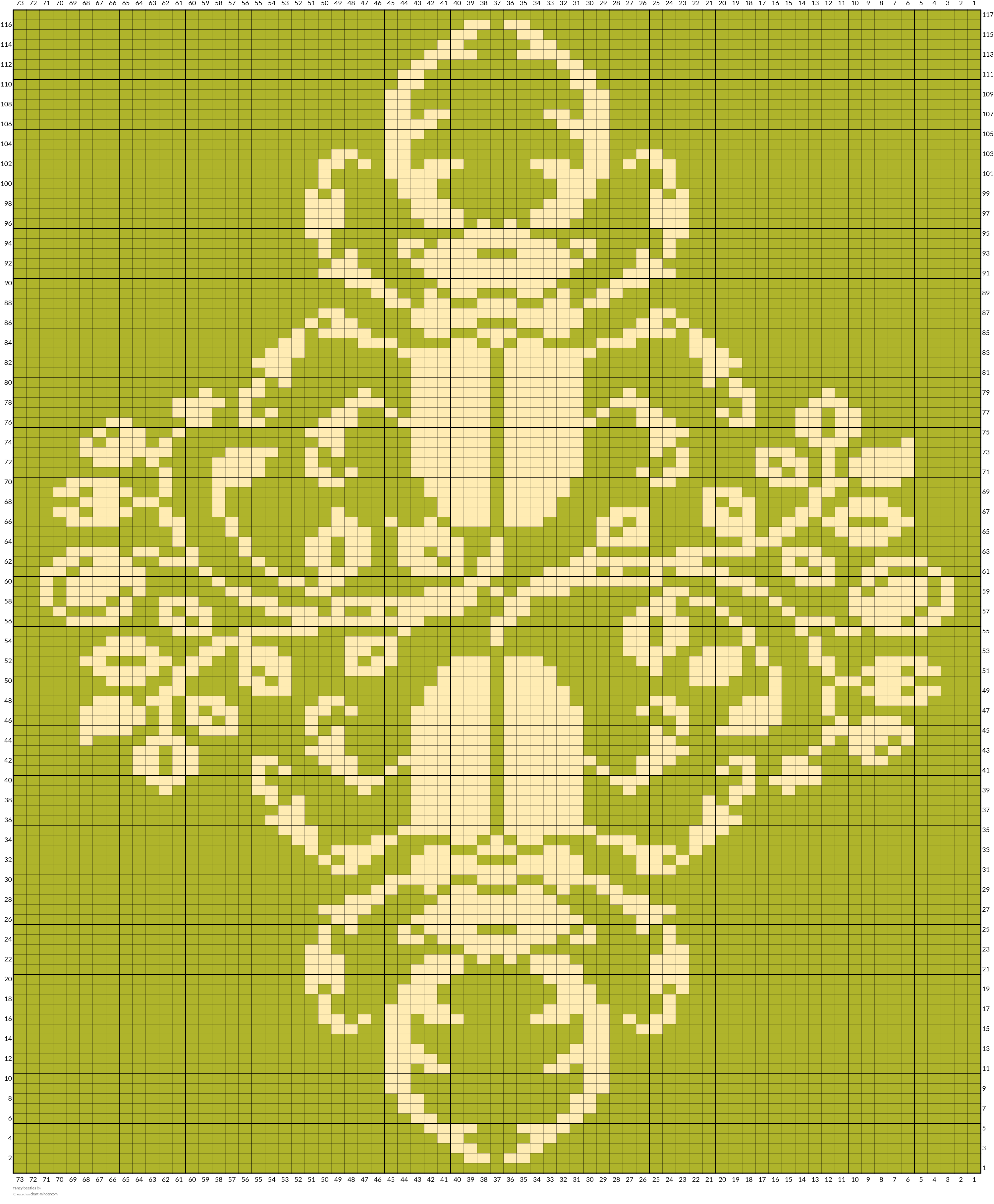 fancy beetles