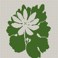 Bloodroot Flower
