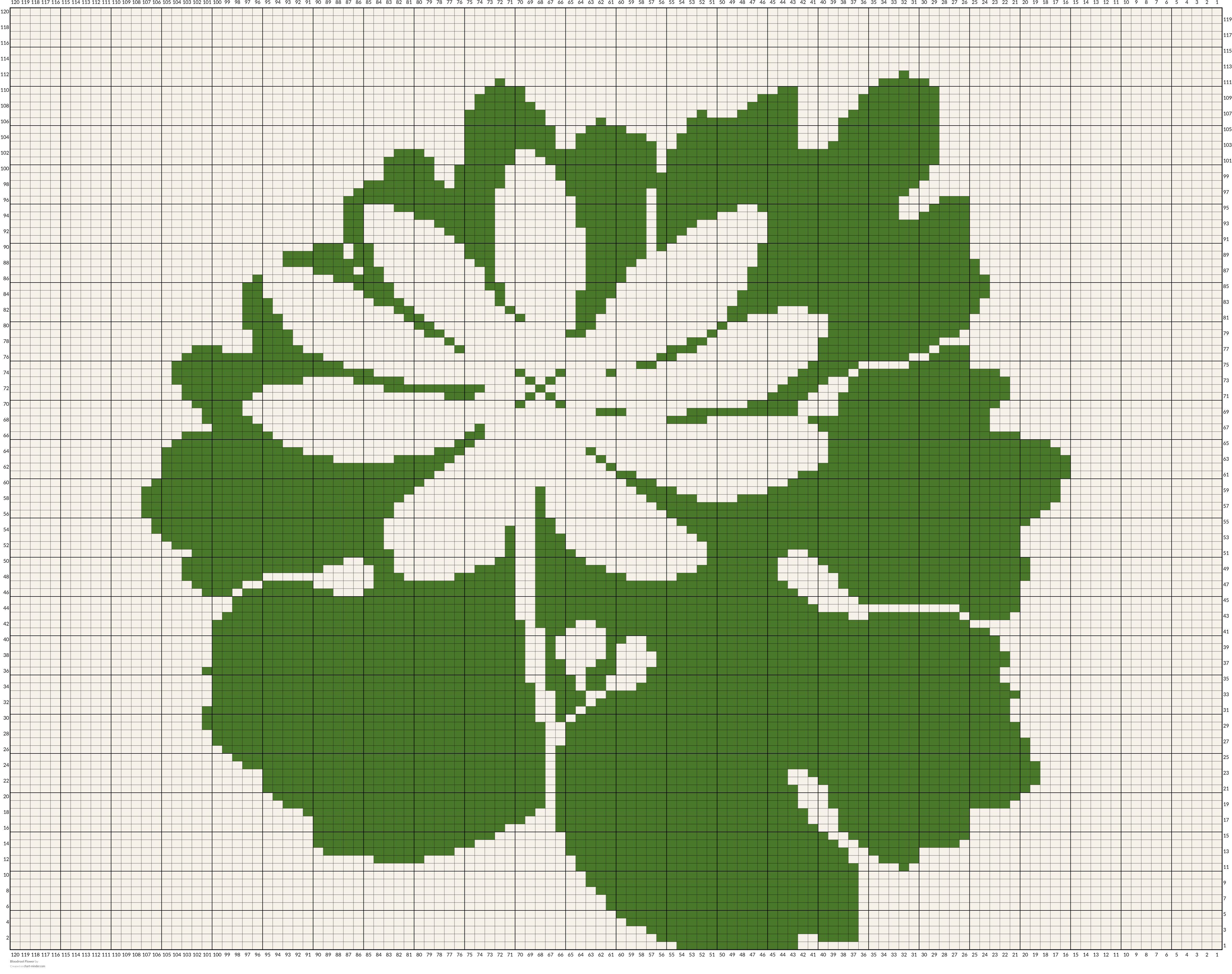 Bloodroot Flower