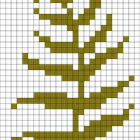 fern 2