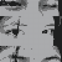 1000054900.jpg