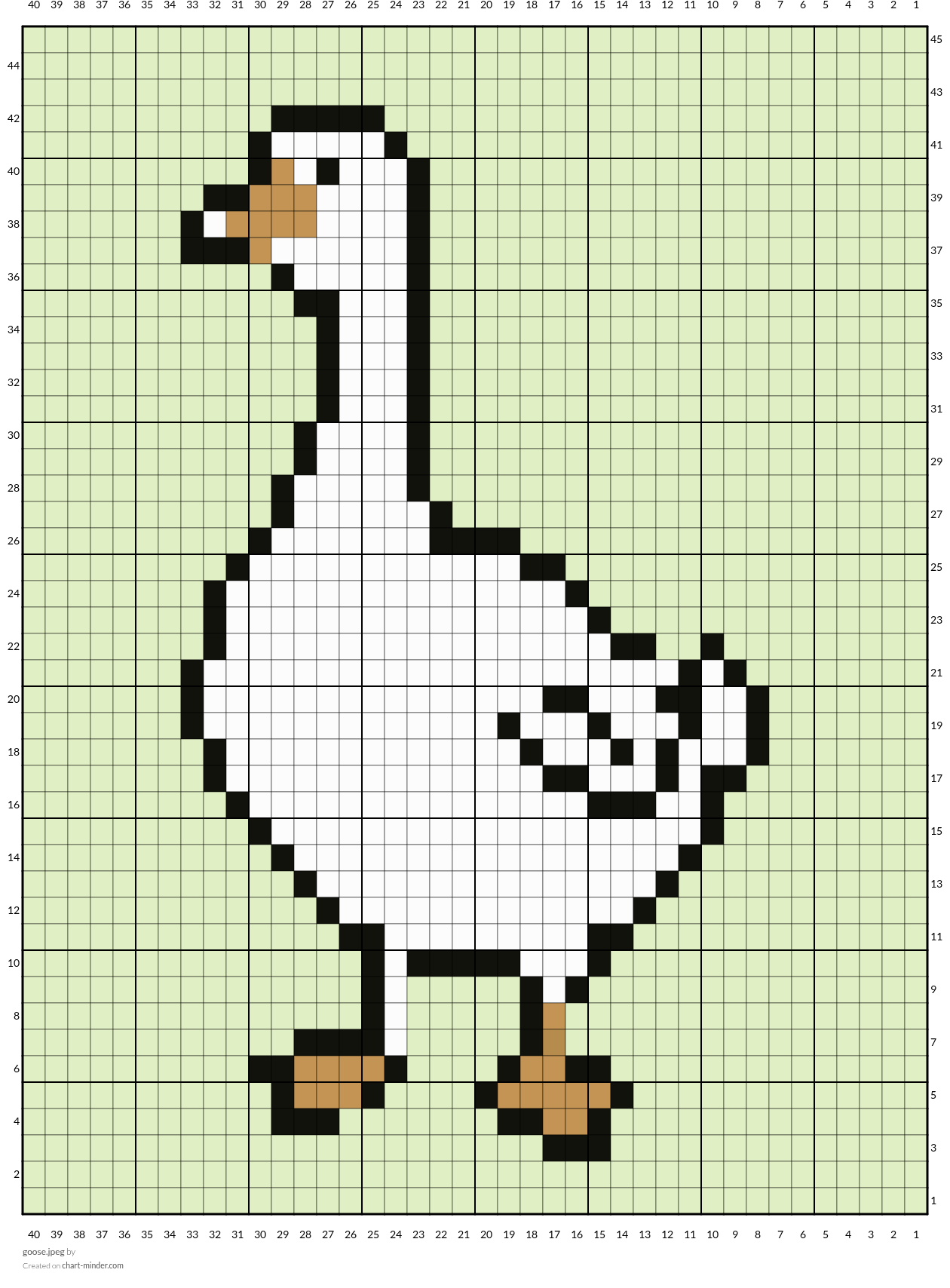 goose.jpeg