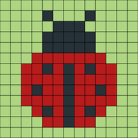 ladybug