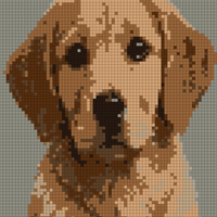Pepper.png