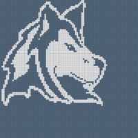 Husky