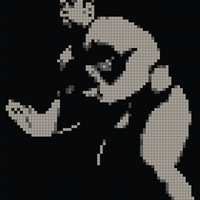 sumo.jpg