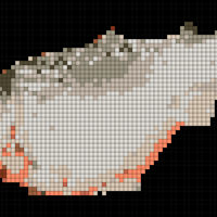 Salmon 2