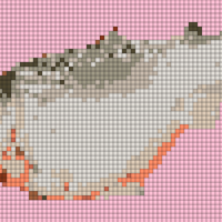 Salmon 2