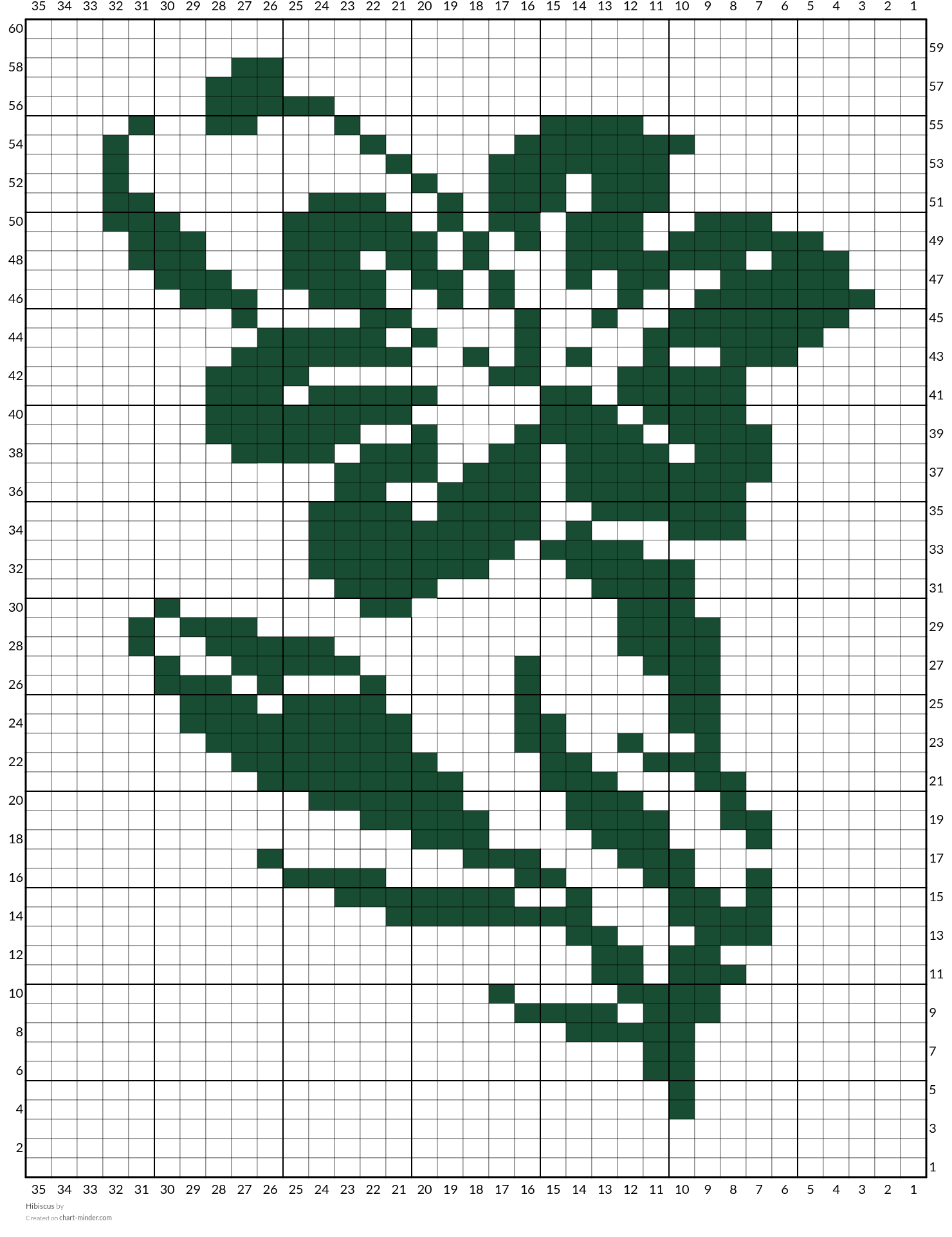 Hibiscus 