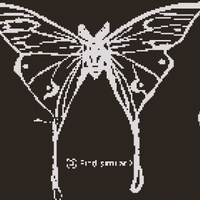 IMG_0761.jpeg