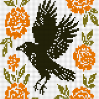 Raven