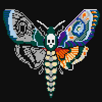 death head moth.jpg