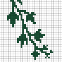 ivy2