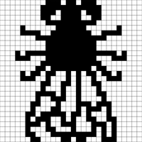 Copy of Black Fly