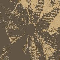 08b0d8be3ab906d4de1c3bf99086602b.jpg