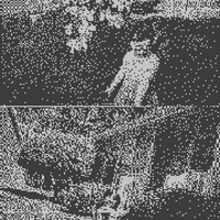 IMG_2998-dithered.png