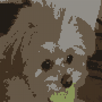 A9A6919F-93F0-492C-AE25-3340BA95AC69.jpeg