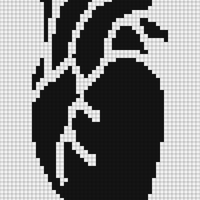 Anatomical Heart.png