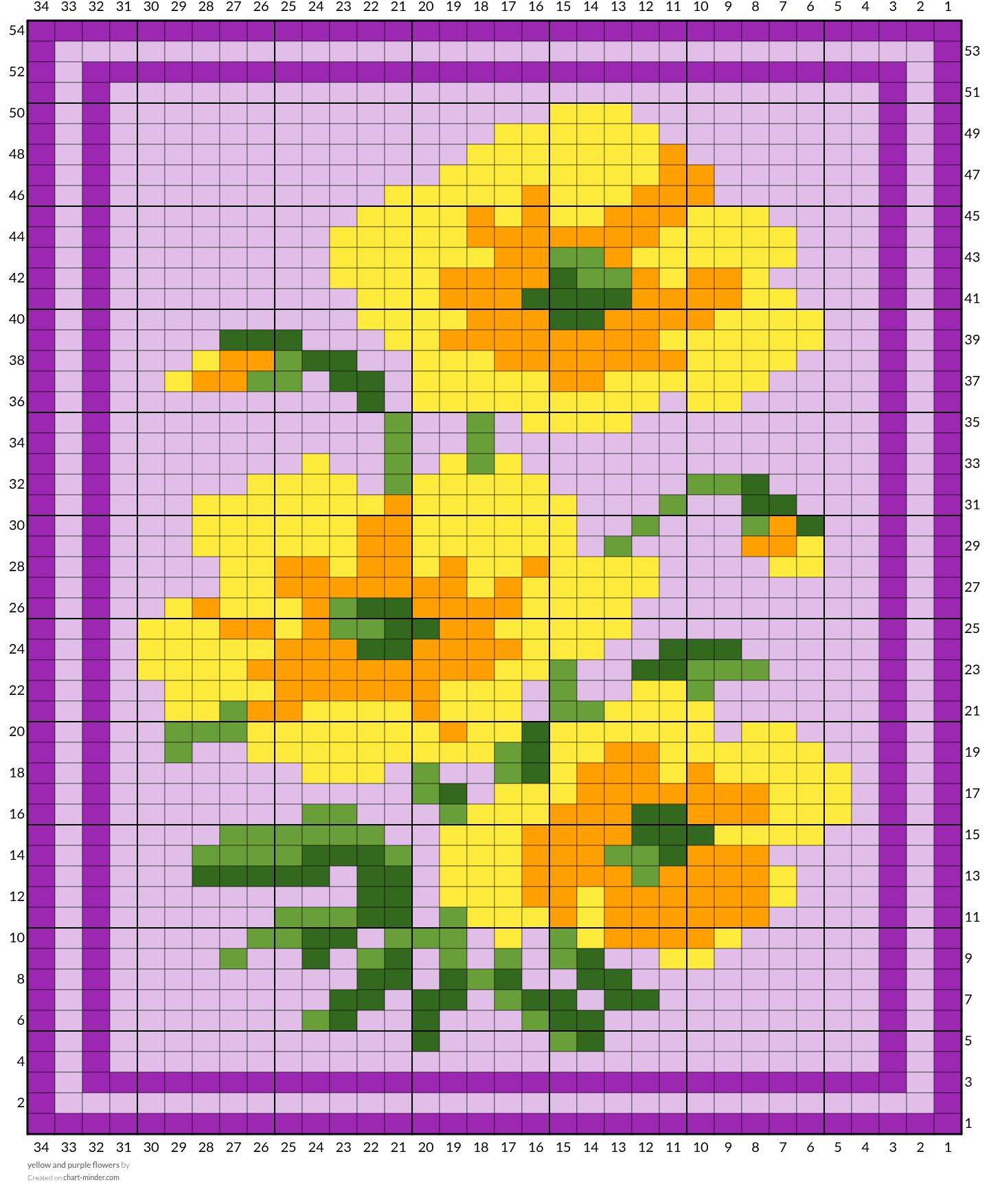 yellow and purple flowers