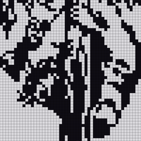 IMG_3649.jpeg