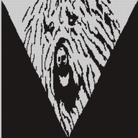 IMG_3822.jpeg